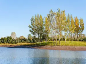 West Dongting Lake Wetland Reserve