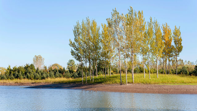 West Dongting Lake Wetland Reserve