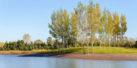 西洞庭湖濕地保護區