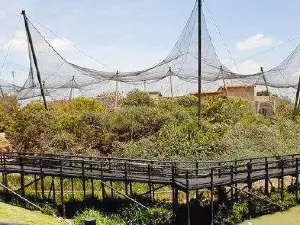 Montecasino Bird Gardens