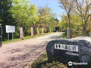 Tokinomori Park