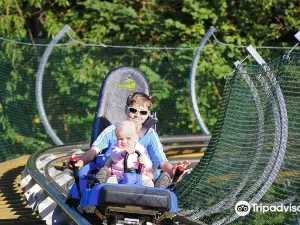 Inselrodelbahn