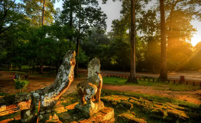 Sunrise Sightseeing in Siem Reap