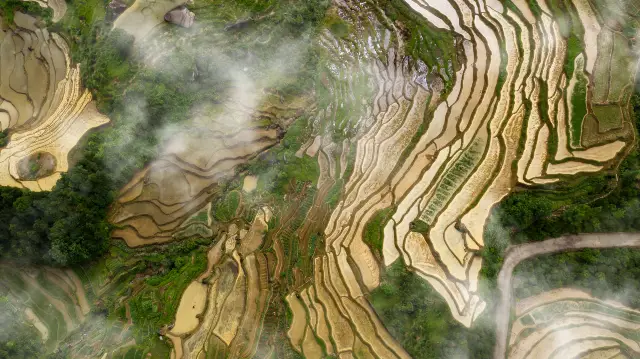 Terraced Fields Viewing in Shangrao