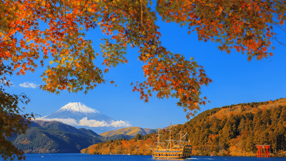 Fall Foliage Sightseeing in Hakone