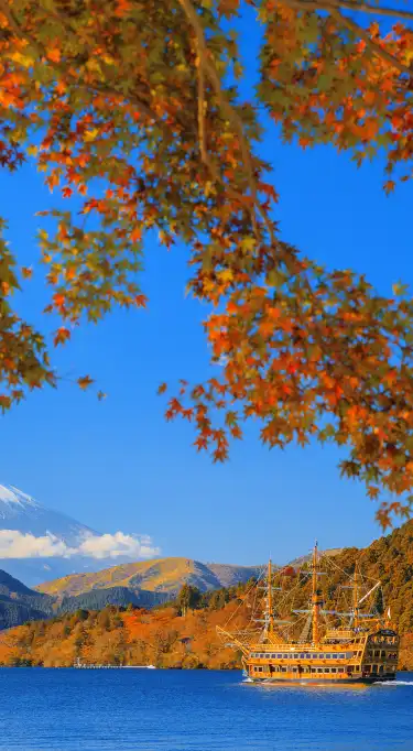 Centurion Properties in Hakone