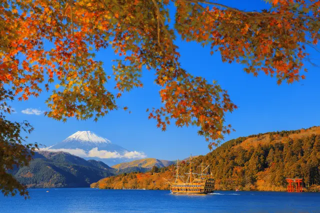 Fall Leaves Viewing in Hakone