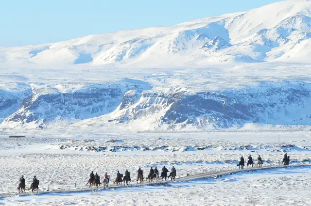 Horse Riding in Iceland