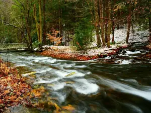 Wykoff Run Falls