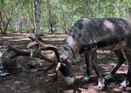 shi guang li xun lu yuan