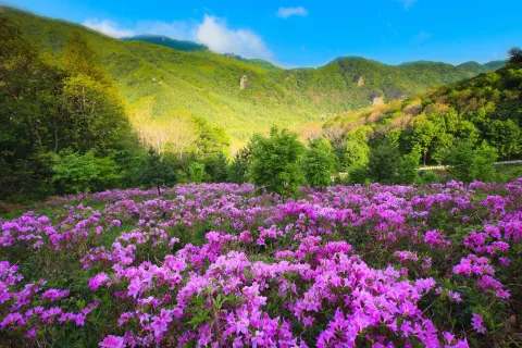 Laobiangou Scenic Area
