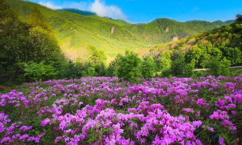 Laobiangou Scenic Area