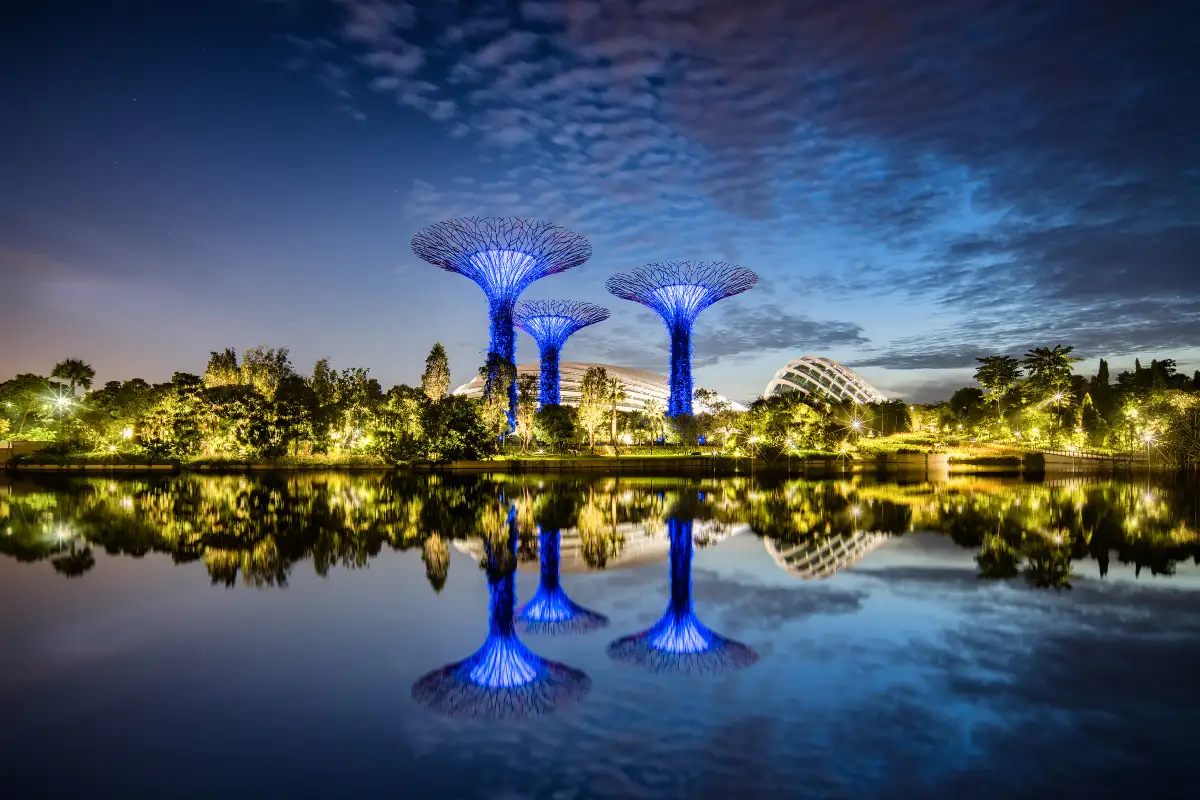 Gardens by the Bay: Supertree Grove (Signature Landmark)