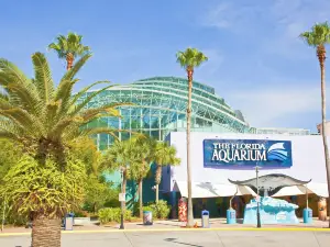 The Florida Aquarium