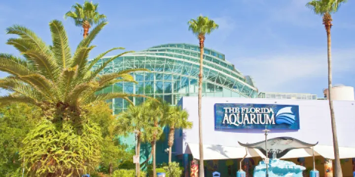 佛羅里達水族館