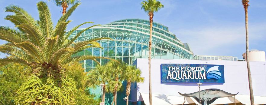 The Florida Aquarium
