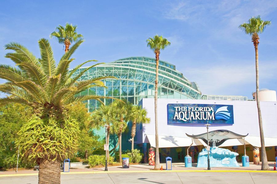 佛羅裏達水族館