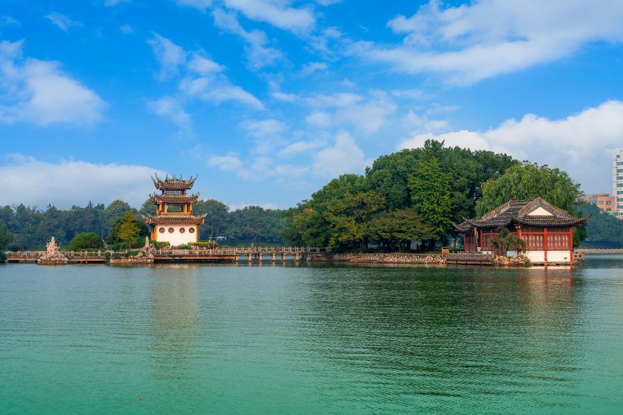天井湖公園