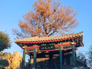 Shihuyuan