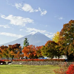 富士河口湖紅葉節