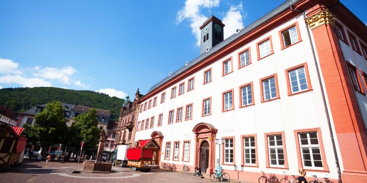 Heidelberg University