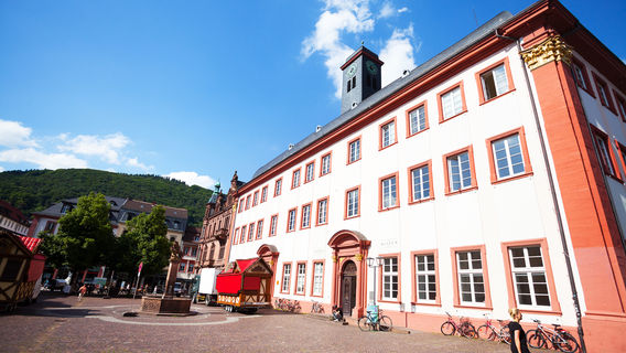 Heidelberg University