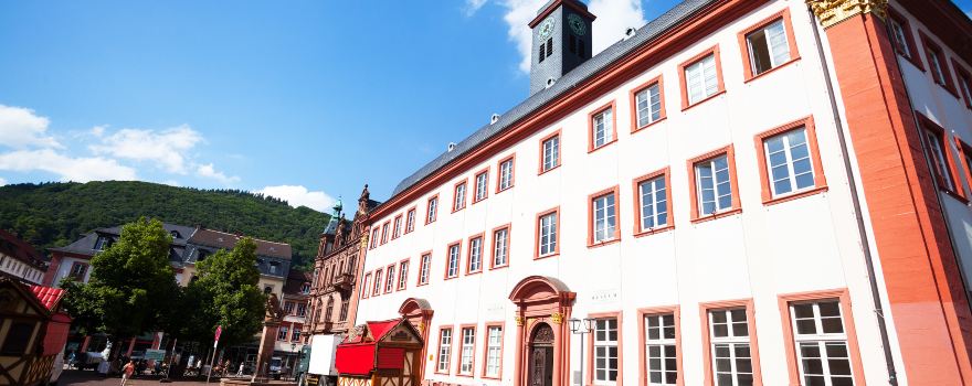 Heidelberg University