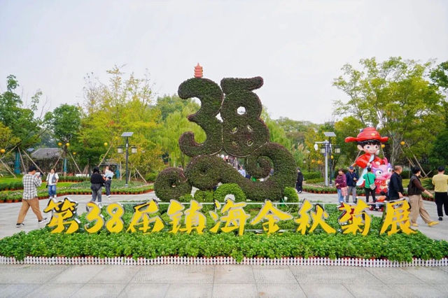 第38屆鎮海金秋菊展 | 寧波