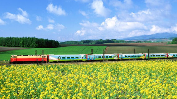 bai li you cai hua jing qu - xiao huo che cheng che dian