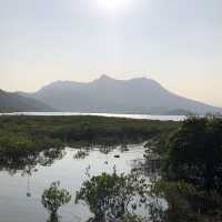 #親子游#慢步馬鞍山至榕樹澳村欣賞紅樹林