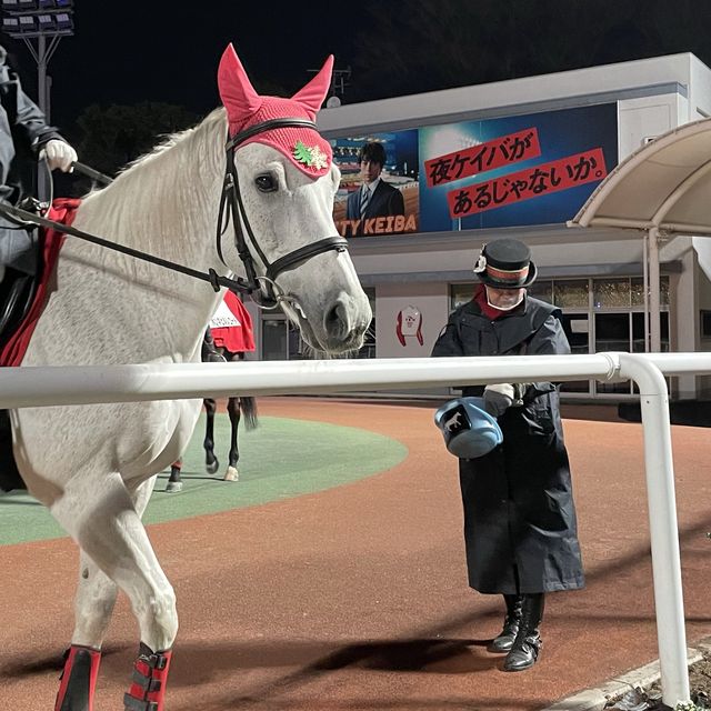 競馬だけではない( ˘ᵕ˘ )大井競馬場