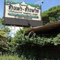 ร้านอาหาร “ป่าในจินตนาการ”