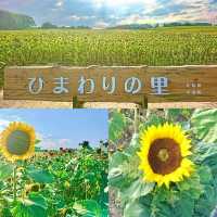 ひまわりの里
