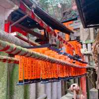 京都　お薬の神様　隠れたパワースポット