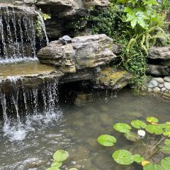 鳳凰雪晴集·人文半山酒店·尋嘗集餐廳張用戶圖片