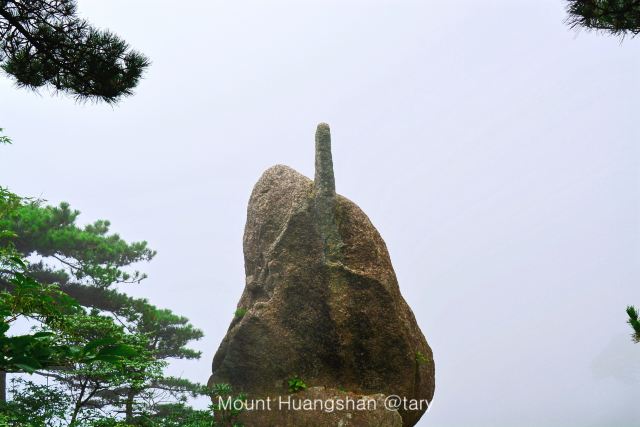 해돈석
