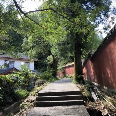 威斯汀酒店大堂吧 User Photo