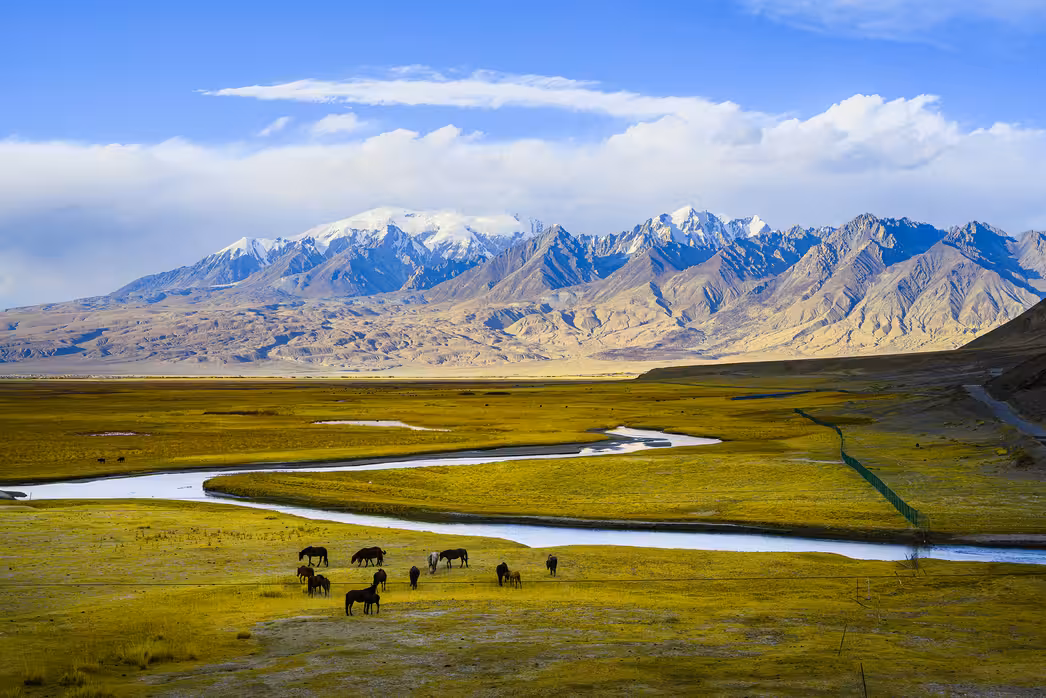 Vuelos ${{cityDName}} Emin