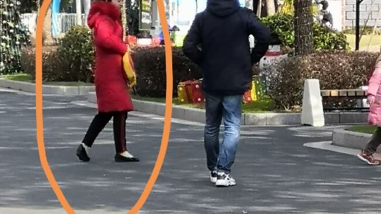 1米以下或6岁以下，或65岁以上，可以买观光票。10元一张。