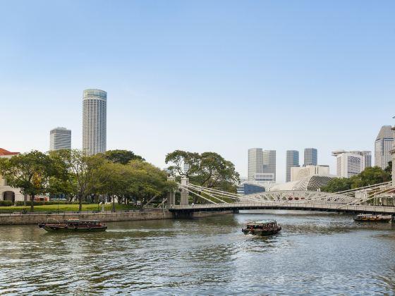 Cavenagh Bridge