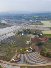 Dong Yunba National Modern Agriculture Demonstration Garden