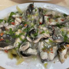 FENG WEI SHI ZU HAI XIAN DA PAI DANG User Photo