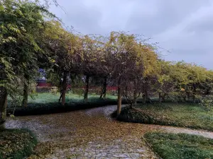 東陽の人気紅葉の名所