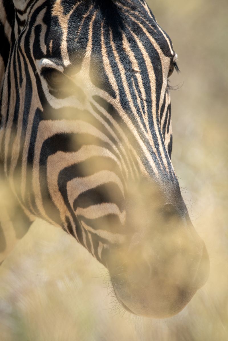 Ngorongoro Conservation Area