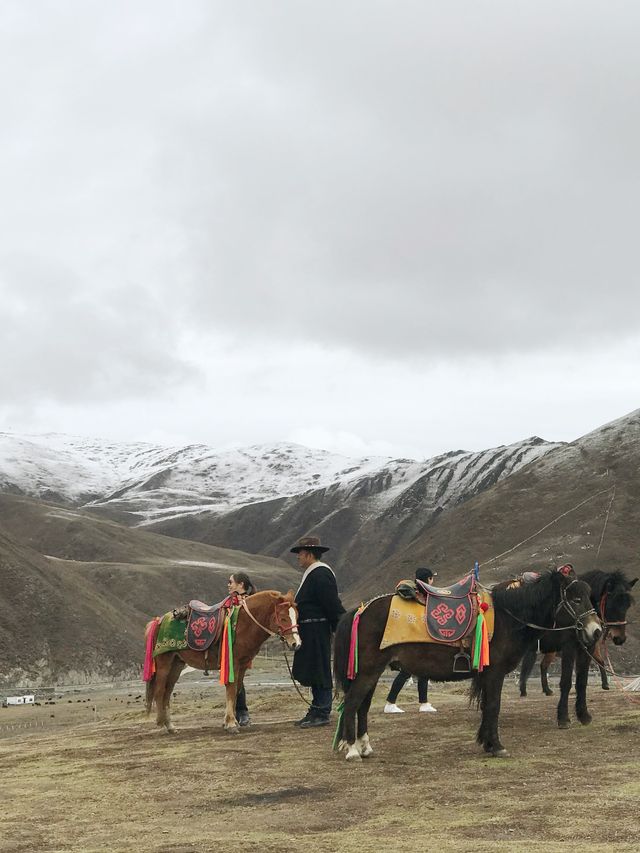 塔公寺×塔公草原 | 夢幻中的雪山草地