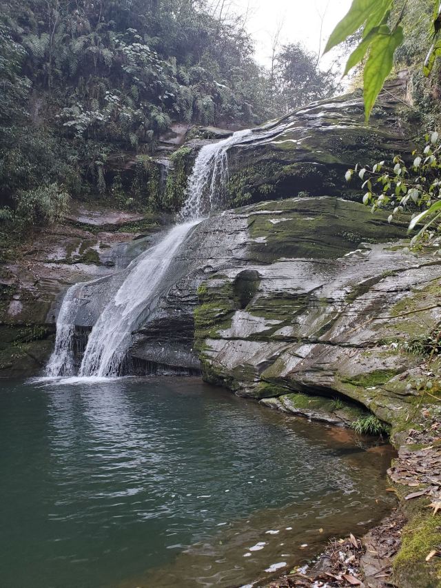 Bifengxia Giant Panda Base