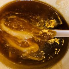 Chang Hao Shark Fin User Photo