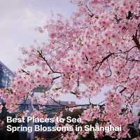 Best Places to See Spring Blossoms in SH