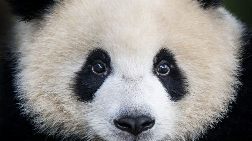 ウッドランド・パーク動物園