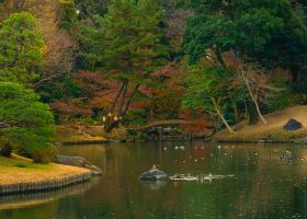 Flüge mit PLAY nach Takamatsu